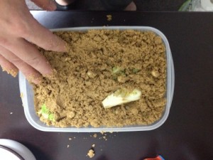 くず野菜を入れる