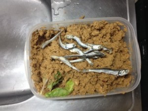 煮干を入れる