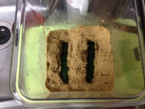 きゅうりを漬けたところ