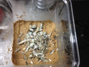 足しぬか後の煮干追加