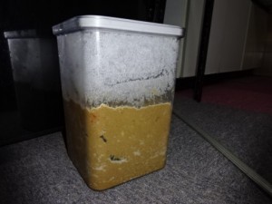 解凍前のぬか床